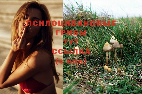 меф Мегион