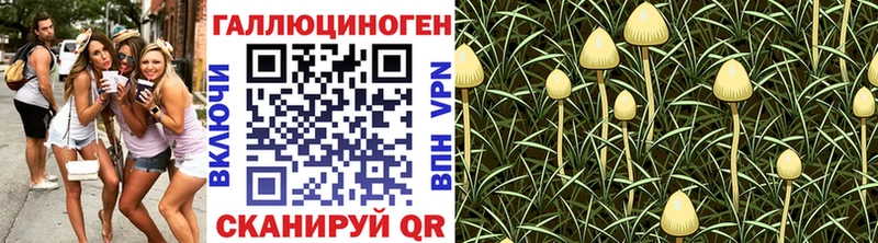Галлюциногенные грибы Cubensis  Апрелевка 