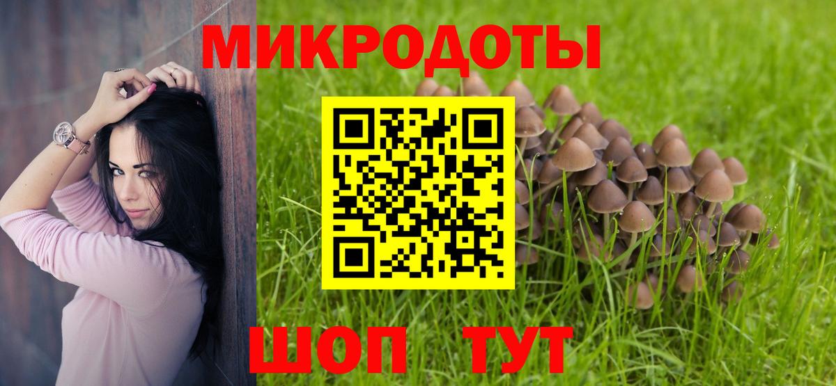 Галлюциногенные грибы прущие грибы  Галлюциногенные грибы мицелий  Апрелевка 