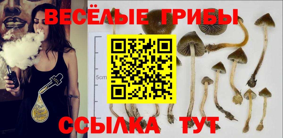 Апрелевка  Галлюциногенные грибы Cubensis  Псилоцибиновые грибы MAGIC MUSHROOMS  Вход с VPN 