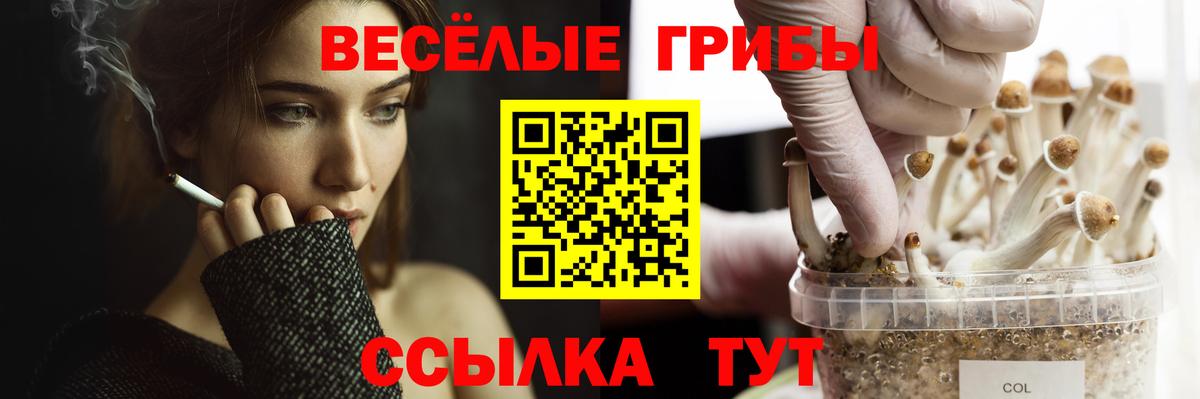 Псилоцибиновые грибы мицелий Апрелевка